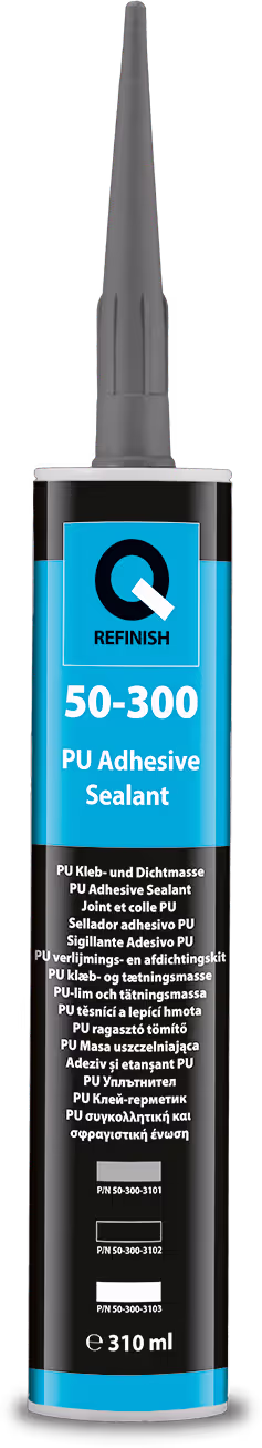 50-300-3101